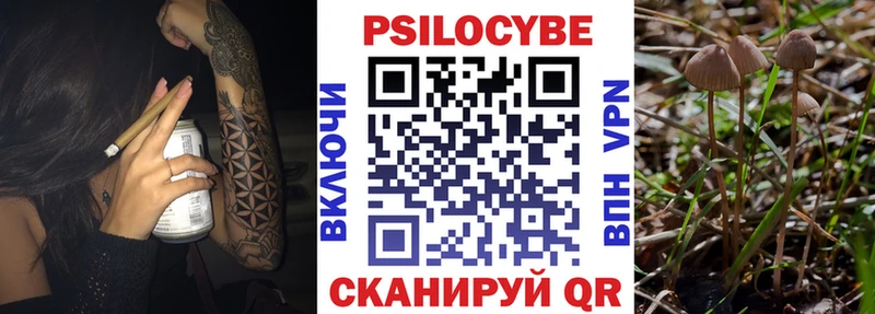 Галлюциногенные грибы мицелий  Купить  Рыбное 